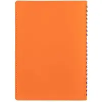 Ежедневник Spring Shall, недатированный, оранжевый Ежедневник Spring Shall, недатированный, оранжевый