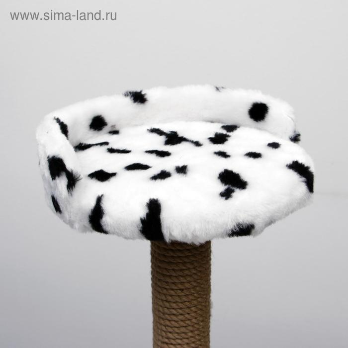 Домик для кошек с когтеточкой Домик для кошек с когтеточкой "Двухуровневый", 72 х 37 х 110 см, джут, далматинец