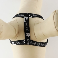 Комплект Grrr...wof, шлейка 36-49 см, поводок 120х1.5 см Комплект Grrr...wof, шлейка 36-49 см, поводок 120х1.5 см