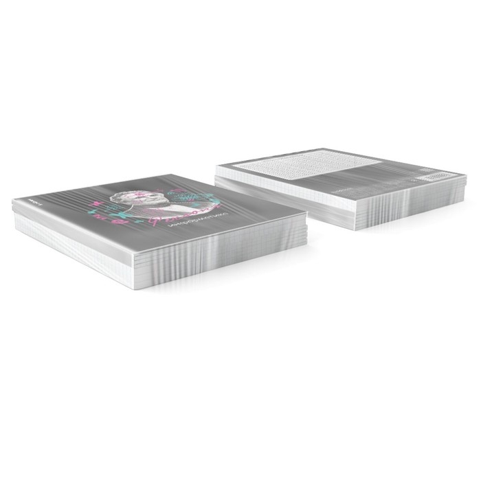 Тетрадь предметная ИНФОРМАТИКА, 48 листов в клетку, ErichKrause Persons, пластиковая обложка, шелкография, блок офсет 100% белизна, инфо-блок Тетрадь предметная ИНФОРМАТИКА, 48 листов в клетку, ErichKrause Persons, пластиковая обложка, шелкография, блок офсет 100% белизна, инфо-блок