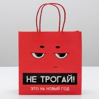 Пакет подарочный новогодний &laquo;Это на новый год&raquo;, 22 х 22 х 11 см, Новый год