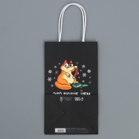 Пакет подарочный новогодний крафтовый &laquo;Ничего&raquo;, 12 х 21 х 9 см, Новый год