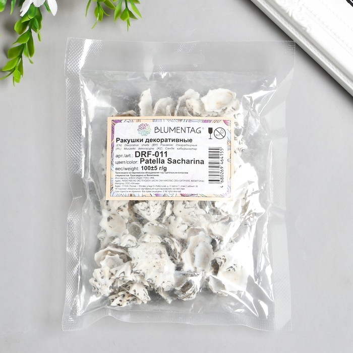 Ракушки декоративные "Zlatka" 100 г &plusmn; 5 г, 2.5 см