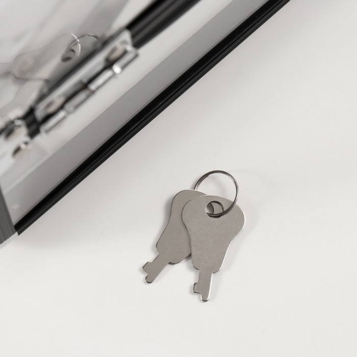 Шкатулка пластик металлокаркас Шкатулка пластик металлокаркас "Чёрная матовая" 18х25х18 см