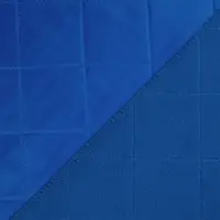 Плед для пикника Soft & Dry 2, ярко-синий