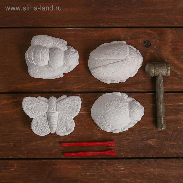 Набор археолога &laquo;Насекомые&raquo;, серия: 4 брикета, молоток, долото