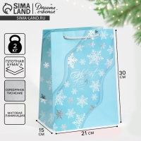 Пакет подарочный новогодний ламинированный &laquo;Лёд&raquo;, 21 х 30 х 15 см, Новый год