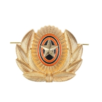 Кокарда со звездой в лавре, 5,5 х 4,5 см, набор 10 шт. Кокарда со звездой в лавре, 5,5 х 4,5 см, набор 10 шт.