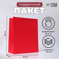 Пакет ламинированный вертикальный "Фуксия", XL 40 &times; 49 &times; 19 см