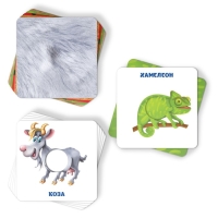 Настольная игра &laquo;Найди пятнышки&raquo;, 40 карточек