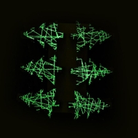 Набор декоративных прищепок с подсветкой &laquo;Елочки&raquo; 12&times;8 см, набор 6 шт.