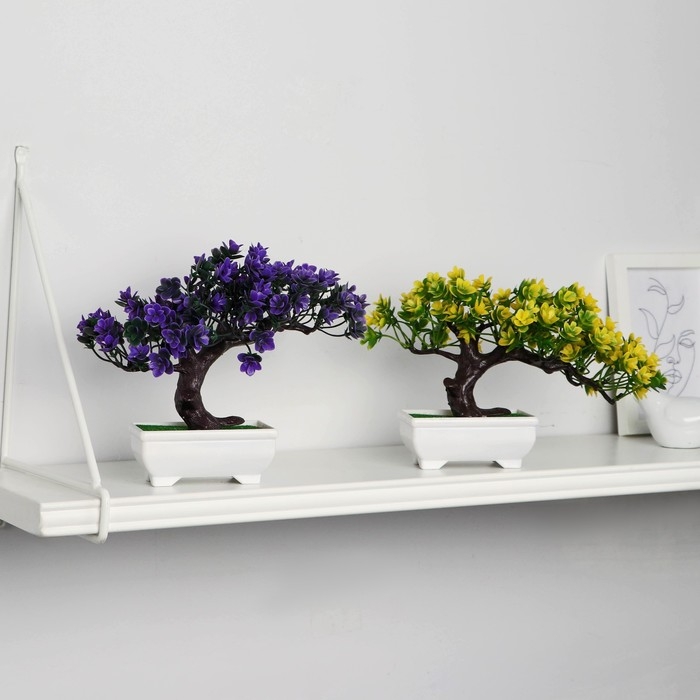 Бонсай в горшке &laquo;Молочай многоцветный&raquo; 12х16 см, микс