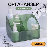 Органайзер для хранения &laquo;LIGHT&raquo;, 4 секции, 18 &times; 15 &times; 12 см, цвет МИКС