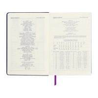 Ежедневник недатированный A5, 140л, клетка, кожзам, на резинке, синий срез, Фиолетовый