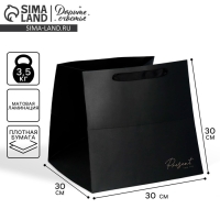 Пакет подарочный квадратный, упаковка, «Present», 30 х 30 х 30 см Пакет подарочный квадратный, упаковка, «Present», 30 х 30 х 30 см