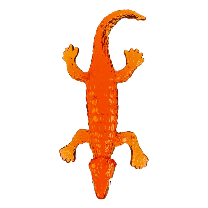 Липучка &laquo;Ящерки&raquo;, цвета МИКС, на блистере