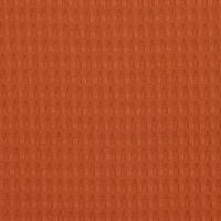 Набор кухонных полотенец Доляна, цвет коричневый, 35х60см-2шт, 100% хлопок, вафля, 220 гр/м2