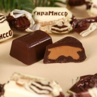 Шоколадные конфеты в коробке &laquo;Счастья в Новом году&raquo;, вкус: тирамису, 200 г.