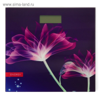 Весы напольные ENERGY EN-419G, электронные, до 180 кг, 1хCR2032, стекло, картинка "цветы"