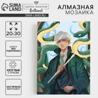 Алмазная мозаика на новый год с частичным заполнением на холсте &laquo;Парень со змеями&raquo;, 20 х 30 см, новогодний набор для творчества, символ года 2025