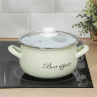 Кастрюля эмалированная &laquo;Лайм&raquo;, 3.1 л, стеклянная крышка, индукция, цвет светло-зелёный