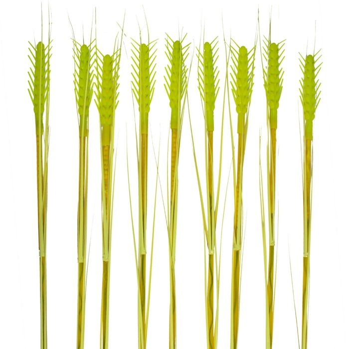 Садовый светильник на солнечной батарее &laquo;Колосья&raquo; Uniel, LED, IP44, 5 Лм, 750х3600х100 мм, цвет жёлтый