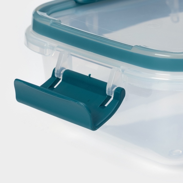 Контейнер герметичный пластиковый Butterfly bright, 500 мл, прозрачный, крышка МИКС