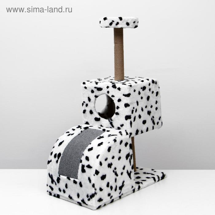 Домик для кошек с когтеточкой Домик для кошек с когтеточкой "Двухуровневый", 72 х 37 х 110 см, джут, далматинец