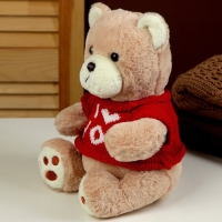 Мягкая игрушка &laquo;Мишка&raquo; в кофте, 25 см