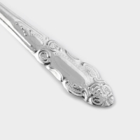 Ложки столовые из нержавеющей стали &laquo;Русиано&raquo;, 19 см, 12 шт