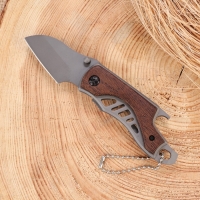 Нож перочинный складной "Странник" 14см, клинок 52мм/2мм, рукоять дерево Нож перочинный складной "Странник" 14см, клинок 52мм/2мм, рукоять дерево