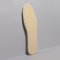 Стельки для обуви, утеплённые, фольгированные, универсальные, р-р RU до 46 (р-р Пр-ля до 45), 29 см, пара, цвет бежевый/серый Стельки для обуви, утеплённые, фольгированные, универсальные, р-р RU до 46 (р-р Пр-ля до 45), 29 см, пара, цвет бежевый/серый