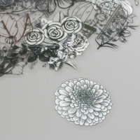 Наклейки для творчества пластик PVC "Эскизы растений" набор 60 шт 10х14 см