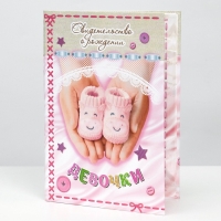 Папка для свидетельства о рождении &laquo;О рождении девочки&raquo;, А5