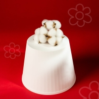 Сухие цветы хлопка, набор 3 шт., размер 1 шт. 6 &times; 6 см, цвет белый