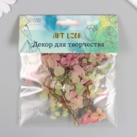 Сухоцвет "Гортензия" зелёно-красный h=6-6,5 см Сухоцвет "Гортензия" зелёно-красный h=6-6,5 см