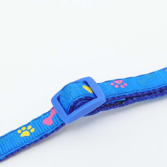 Ошейник двухслойный с фастексом Ошейник двухслойный с фастексом "Разноцветные косточки" 30 х 1 см, синий