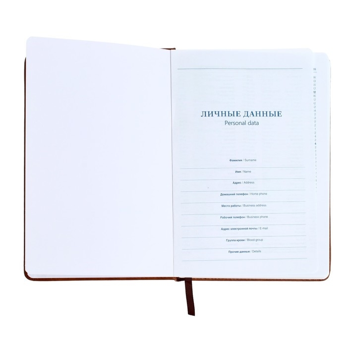 Ежедневник недатированный А5, 140 листов, в клетку, обложка кожзам, с карманом, МИКС