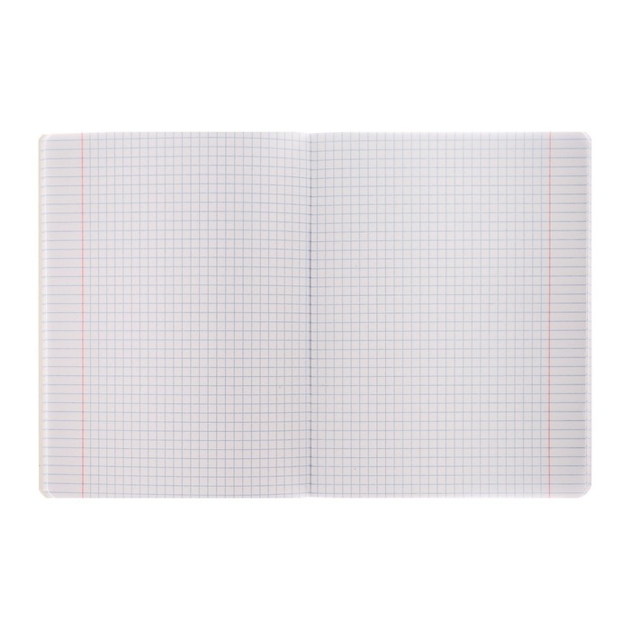 Тетрадь 48 листов в клетку Тетрадь 48 листов в клетку "Твой взгляд", обложка мелованный картон, выборочный лак, скругленные углы, 5В, МИКС