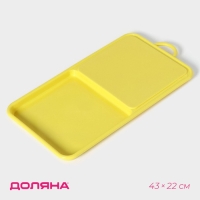Доска разделочная с лотком Доляна &laquo;Симплекс&raquo;, 43&times;22&times;2 см, цвет МИКС