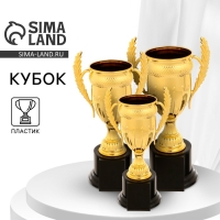 Кубок 179C, наградная фигура, золото, подставка пластик, 17,5 &times; 8,8 &times; 8 см.