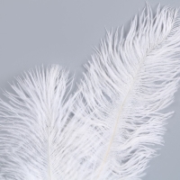 Декор из перьев 1 шт. &laquo;Фонтан&raquo;, на ножке, высота &mdash; 70 см