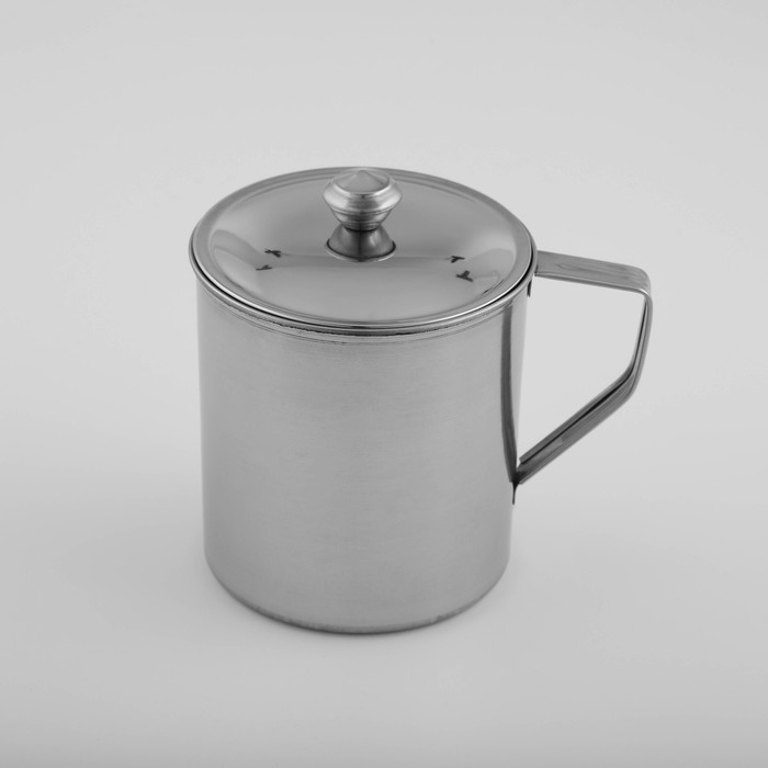 Кружка из нержавеющей стали Доляна &laquo;Индия&raquo; &laquo;Тарун&raquo;, 600 мл, 13,5&times;9,5&times;12 см, с крышкой