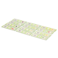 Набор для опытов «Набор микропрепаратов», растения Набор для опытов «Набор микропрепаратов», растения