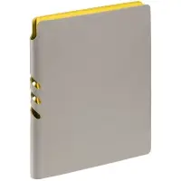 Набор Flexpen, серебристо-желтый Набор Flexpen, серебристо-желтый