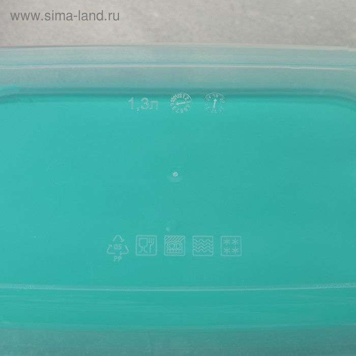 Набор пищевых контейнеров «Радуга», 5 шт: 250 мл, 450 мл, 800 мл, 1,3 л, 2,1 л, прозрачные, крышки микс Набор пищевых контейнеров «Радуга», 5 шт: 250 мл, 450 мл, 800 мл, 1,3 л, 2,1 л, прозрачные, крышки микс