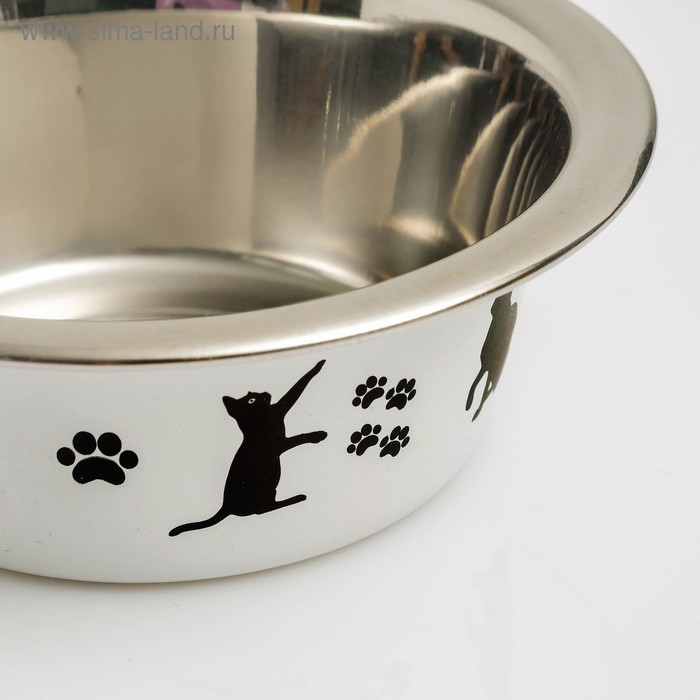 Миска стандартная Миска стандартная "Пижон. Лучший день", 225 мл