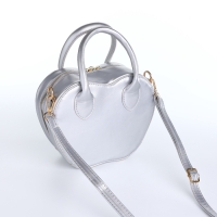 Сумка женская кросс-боди на молнии, цвет серебряный Сумка женская кросс-боди на молнии, цвет серебряный