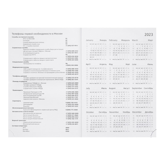 Ежедневник датированный 2024 года, А5, 176 листов, Attomex.Lancaster, обложка балакрон, ляссе, блок 70 г/м2, чёрный Ежедневник датированный 2024 года, А5, 176 листов, Attomex.Lancaster, обложка балакрон, ляссе, блок 70 г/м2, чёрный