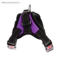Шлейка К7 мягкая светоотражающая, размер М, ОГ 52-66 см, вес 9,5-17,5 кг, фиолетовая Шлейка К7 мягкая светоотражающая, размер М, ОГ 52-66 см, вес 9,5-17,5 кг, фиолетовая